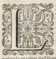 An illustration from L'histoire dv Nouveau monde, ou, Description des Indes occidentales : contenant dix-huict liures (1640)