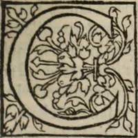 An illustration from L'histoire ecclesiastiqve (1553)
