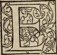 An illustration from L'histoire ecclesiastiqve (1553)