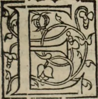 Picture 54 of 98 from L'histoire ecclesiastiqve (1553), leaf 128