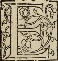 Picture 55 of 98 from L'histoire ecclesiastiqve (1553), leaf 133