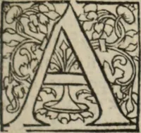 An illustration from L'histoire ecclesiastiqve (1553)