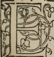 Picture 61 of 98 from L'histoire ecclesiastiqve (1553), leaf 164