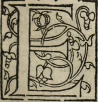 An illustration from L'histoire ecclesiastiqve (1553)