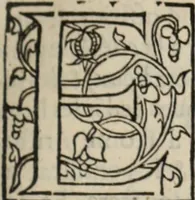 Picture 6 of 98 from L'histoire ecclesiastiqve (1553), leaf 22