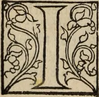 An illustration from L'histoire ecclesiastiqve (1553)
