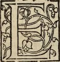 Picture 74 of 98 from L'histoire ecclesiastiqve (1553), leaf 235