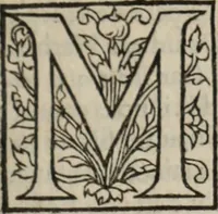 Picture 8 of 98 from L'histoire ecclesiastiqve (1553), leaf 24