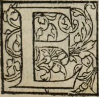 Picture 76 of 98 from L'histoire ecclesiastiqve (1553), leaf 242