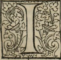 An illustration from L'histoire ecclesiastiqve (1553)
