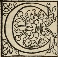 An illustration from L'histoire ecclesiastiqve (1553)
