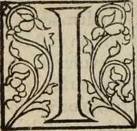 An illustration from L'histoire ecclesiastiqve (1553)