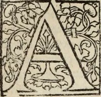 An illustration from L'histoire ecclesiastiqve (1553)