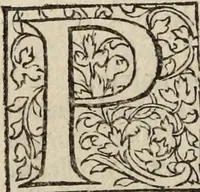 Picture 85 of 98 from L'histoire ecclesiastiqve (1553), leaf 283