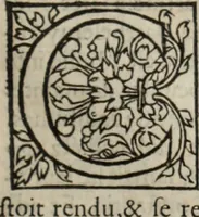 Picture 89 of 98 from L'histoire ecclesiastiqve (1553), leaf 310