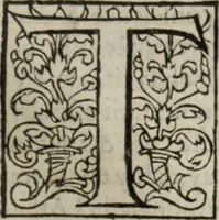 An illustration from L'histoire ecclesiastiqve (1553)