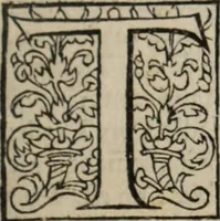 Picture 16 of 98 from L'histoire ecclesiastiqve (1553), leaf 36