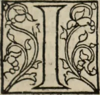 An illustration from L'histoire ecclesiastiqve (1553)