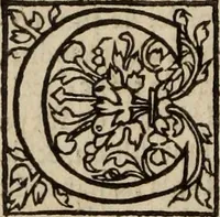 Picture 97 of 98 from L'histoire ecclesiastiqve (1553), leaf 365