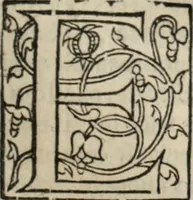 Picture 21 of 98 from L'histoire ecclesiastiqve (1553), leaf 44