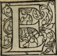 An illustration from L'histoire ecclesiastiqve (1553)
