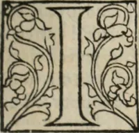 An illustration from L'histoire ecclesiastiqve (1553)