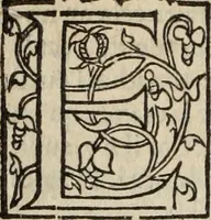 An illustration from L'histoire ecclesiastiqve (1553)
