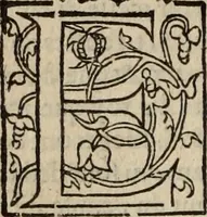 An illustration from L'histoire ecclesiastiqve (1553)