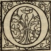 An illustration from L'histoire ecclesiastiqve (1553)