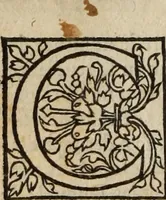 Picture 46 of 98 from L'histoire ecclesiastiqve (1553), leaf 99