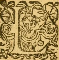 An illustration from L'histoire et discours au vray du siège qui fut mis devant la ville d'Orléans, par les Anglois, le mardy XII jour d'octobre MCCCCXXVII regnant alors Charles VII, roy de France. Contenant toutes les saillies... avec la venue de Jeanne la Pucelle... Renue & augmente de nouveau outres les precedentes impressions (1621)