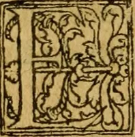 An illustration from L'histoire et discours au vray du siège qui fut mis devant la ville d'Orléans, par les Anglois, le mardy XII jour d'octobre MCCCCXXVII regnant alors Charles VII, roy de France ... (1606)