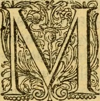 An illustration from L'histoire et discours au vray du siège qui fut mis devant la ville d'Orléans, par les Anglois, le mardy XII jour d'octobre MCCCCXXVII regnant alors Charles VII, roy de France ... (1606)