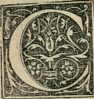 An illustration from L'histoire naturelle des estranges poissons marins, avec la vraie peincture & description du daulphin, & de plusieurs autres de son espece (1551)
