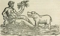 Picture 26 of 29 from L'histoire naturelle des estranges poissons marins, avec la vraie peincture & description du daulphin, & de plusieurs autres de son espece (1551), leaf 106