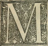 An illustration from L'histoire naturelle des estranges poissons marins, avec la vraie peincture & description du daulphin, & de plusieurs autres de son espece (1551)