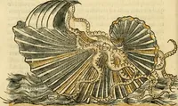 Picture 27 of 29 from L'histoire naturelle des estranges poissons marins, avec la vraie peincture & description du daulphin, & de plusieurs autres de son espece (1551), leaf 109
