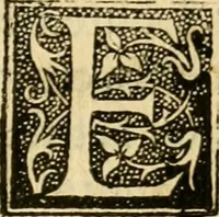An illustration from L'histoire naturelle des estranges poissons marins, avec la vraie peincture & description du daulphin, & de plusieurs autres de son espece (1551)