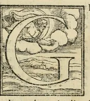 An illustration from L'historia della pvblica et famosa entrata in Vinegia del serenissimo Henrico III. re di Francia, et Polonia, : con la descrittione particolare della pompa, e del numero, & varietà delli bregantini, palaschermi, & altre vasselli armati, con la dechiaratione dell'edificio, & arco fatto al Lido (1574)