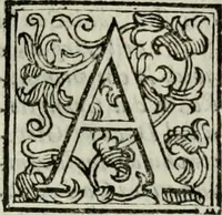 An illustration from L'historia delle gverre civili d'Inghilterra, trà le due case di Lancastro, e Iorc; si descriue in Ricardo II, l'origine di esse, il progresso nelle vite de i rè susseguenti, cioè: di Arrigo IV, V, e Vi, d'Odoardo IV, e V, di Ricardo III, e di Arrigo VII, nel quale finirono (1647)