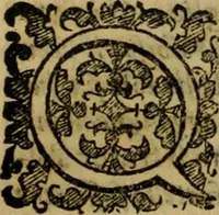 Picture 26 of 141 from L'historia ecclesiastica della rivolvzion d'Inghilterra : divisa in libri qvattro, ne' qvali si tratta di qvello ch'e avvenvto in quell'isola, da chè Arrigo Ottauo cominciò à pensare di ripudiar Caterina sua legittima moglie, infino à quest'vltimi anni di Lisabetta, vltima sua figliuola (1594), leaf 102