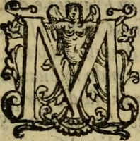 Picture 29 of 141 from L'historia ecclesiastica della rivolvzion d'Inghilterra : divisa in libri qvattro, ne' qvali si tratta di qvello ch'e avvenvto in quell'isola, da chè Arrigo Ottauo cominciò à pensare di ripudiar Caterina sua legittima moglie, infino à quest'vltimi anni di Lisabetta, vltima sua figliuola (1594), leaf 114