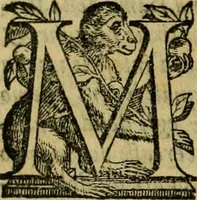 Picture 38 of 141 from L'historia ecclesiastica della rivolvzion d'Inghilterra : divisa in libri qvattro, ne' qvali si tratta di qvello ch'e avvenvto in quell'isola, da chè Arrigo Ottauo cominciò à pensare di ripudiar Caterina sua legittima moglie, infino à quest'vltimi anni di Lisabetta, vltima sua figliuola (1594), leaf 157