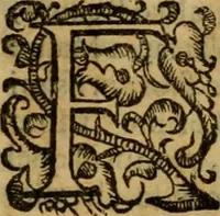 Picture 6 of 141 from L'historia ecclesiastica della rivolvzion d'Inghilterra : divisa in libri qvattro, ne' qvali si tratta di qvello ch'e avvenvto in quell'isola, da chè Arrigo Ottauo cominciò à pensare di ripudiar Caterina sua legittima moglie, infino à quest'vltimi anni di Lisabetta, vltima sua figliuola (1594), leaf 20