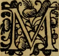 An illustration from L'historia ecclesiastica della rivolvzion d'Inghilterra : divisa in libri qvattro, ne' qvali si tratta di qvello ch'e avvenvto in quell'isola, da chè Arrigo Ottauo cominciò à pensare di ripudiar Caterina sua legittima moglie, infino à quest'vltimi anni di Lisabetta, vltima sua figliuola (1594)