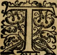An illustration from L'historia ecclesiastica della rivolvzion d'Inghilterra : divisa in libri qvattro, ne' qvali si tratta di qvello ch'e avvenvto in quell'isola, da chè Arrigo Ottauo cominciò à pensare di ripudiar Caterina sua legittima moglie, infino à quest'vltimi anni di Lisabetta, vltima sua figliuola (1594)