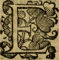 An illustration from L'historia ecclesiastica della rivolvzion d'Inghilterra : divisa in libri qvattro, ne' qvali si tratta di qvello ch'e avvenvto in quell'isola, da chè Arrigo Ottauo cominciò à pensare di ripudiar Caterina sua legittima moglie, infino à quest'vltimi anni di Lisabetta, vltima sua figliuola (1594)