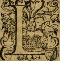 Picture 78 of 141 from L'historia ecclesiastica della rivolvzion d'Inghilterra : divisa in libri qvattro, ne' qvali si tratta di qvello ch'e avvenvto in quell'isola, da chè Arrigo Ottauo cominciò à pensare di ripudiar Caterina sua legittima moglie, infino à quest'vltimi anni di Lisabetta, vltima sua figliuola (1594), leaf 378