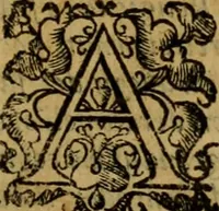 Picture 90 of 141 from L'historia ecclesiastica della rivolvzion d'Inghilterra : divisa in libri qvattro, ne' qvali si tratta di qvello ch'e avvenvto in quell'isola, da chè Arrigo Ottauo cominciò à pensare di ripudiar Caterina sua legittima moglie, infino à quest'vltimi anni di Lisabetta, vltima sua figliuola (1594), leaf 456