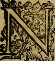 Picture 101 of 141 from L'historia ecclesiastica della rivolvzion d'Inghilterra : divisa in libri qvattro, ne' qvali si tratta di qvello ch'e avvenvto in quell'isola, da chè Arrigo Ottauo cominciò à pensare di ripudiar Caterina sua legittima moglie, infino à quest'vltimi anni di Lisabetta, vltima sua figliuola (1594), leaf 528